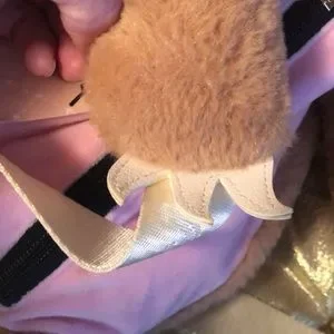 Betsey Johnson | Bags | Nwt Betsey Johnson Fluffy Tan Sloth 